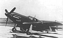 Fig. 38. P-51 Mustang