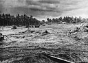 Torokina Figher Field, November 15, 1943